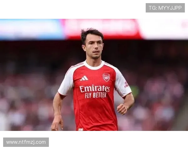 阿森纳九月最佳评选四将争锋加布里埃尔马丁内利特罗萨德苏比门迪竞展锋芒 - 副本 阿森纳九月最佳评选四将争锋加布里埃尔马丁内利特罗萨德苏比门迪竞展锋芒 - 副本